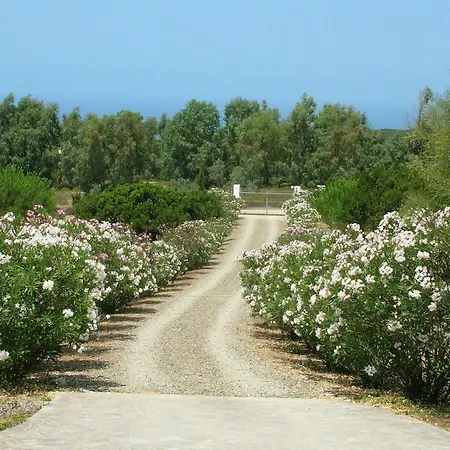 Scivu Porta Delle Stelle * Magazzini (Sardinia)